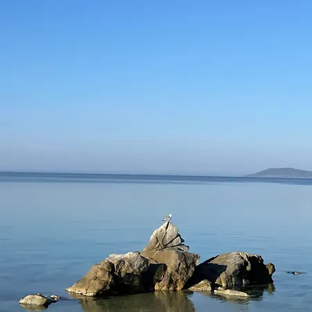 Little Bay House *